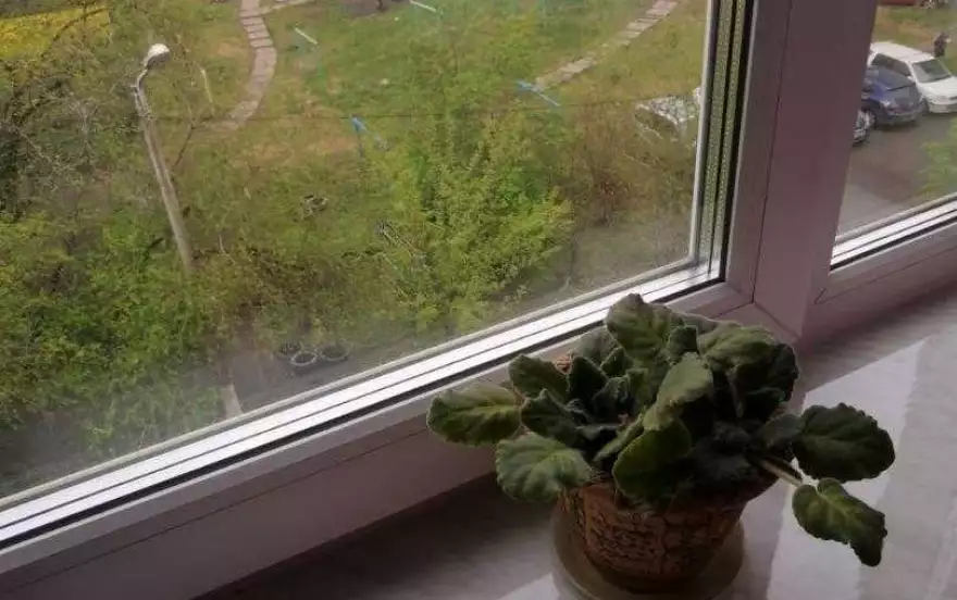 улица Судостроительная, 32