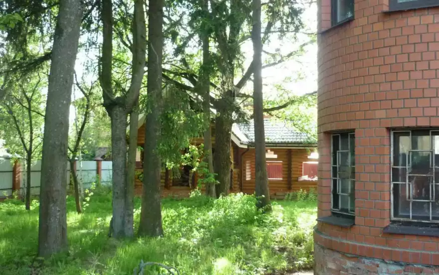 Любимая улица, 58