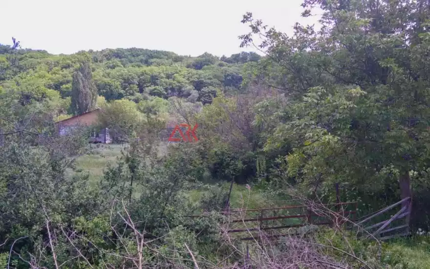 Солнечная улица