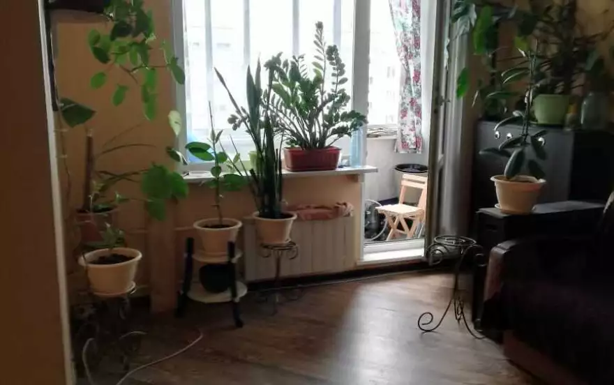 Матвеевская улица, 10