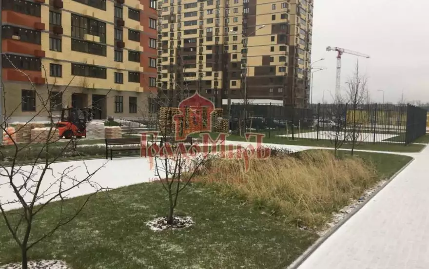 Просвещения улица