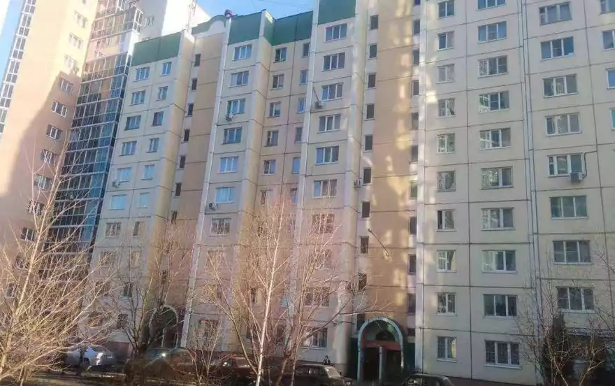 Шишкова улица, дом 103