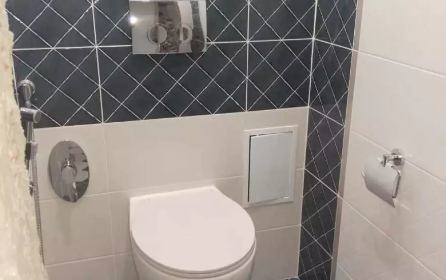 , 66