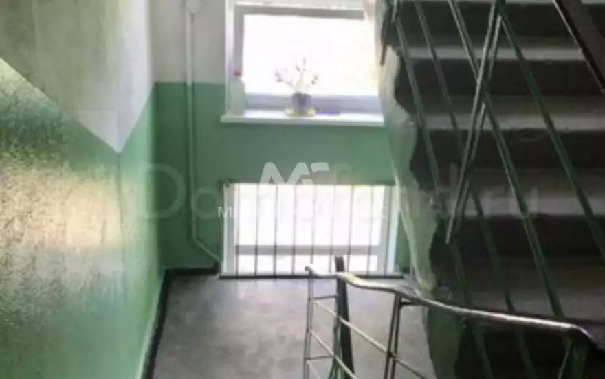 Зоологическая улица, 49