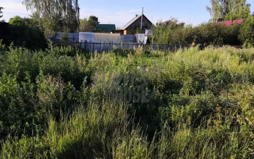 5-я Линейная улица