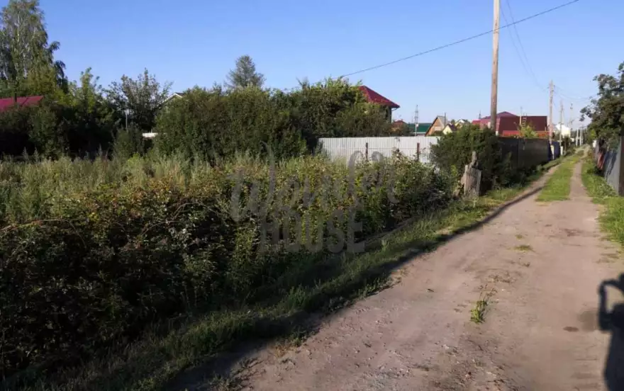 5-я Линейная улица