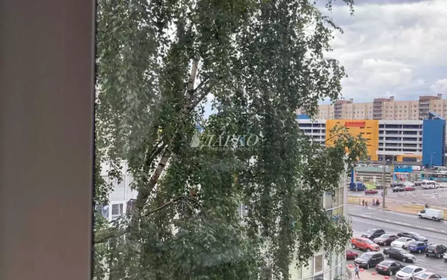 Просвещения пр-кт, 30к1
