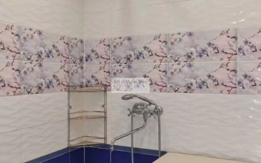 Новосёлов улица, 24