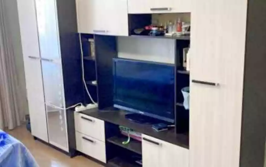 Огородная улица, 208