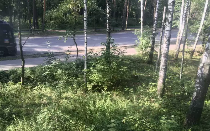 Парковская улица, 34