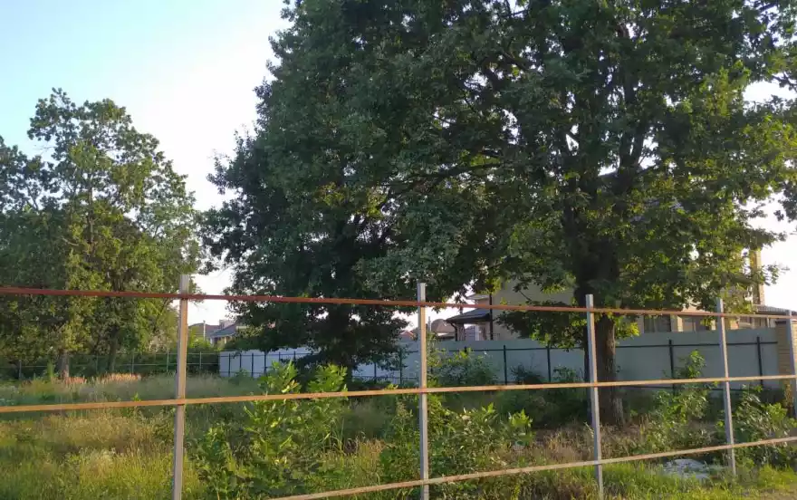 Полесская улица