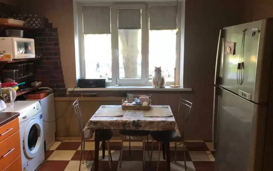 Просвещения пр-кт, 7к1