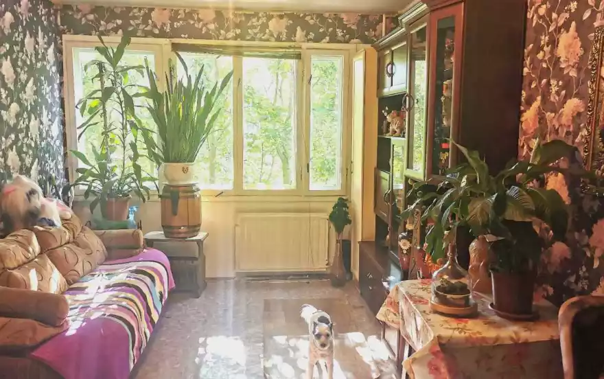 Композиторов улица, 33/5