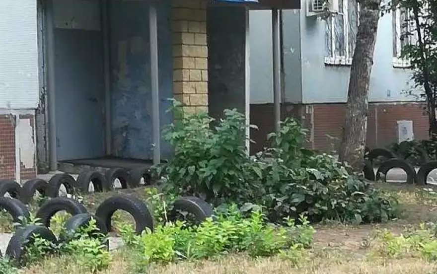 Тополиная, 6