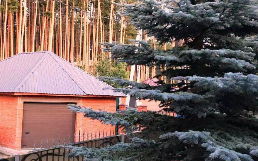 Садовая улица