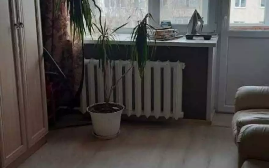 Ленина улица, д.87