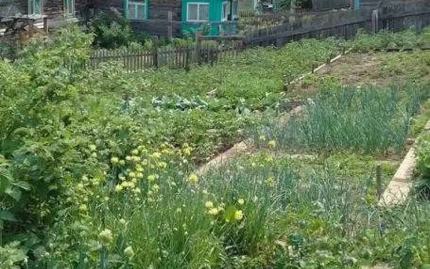 Советская, 8