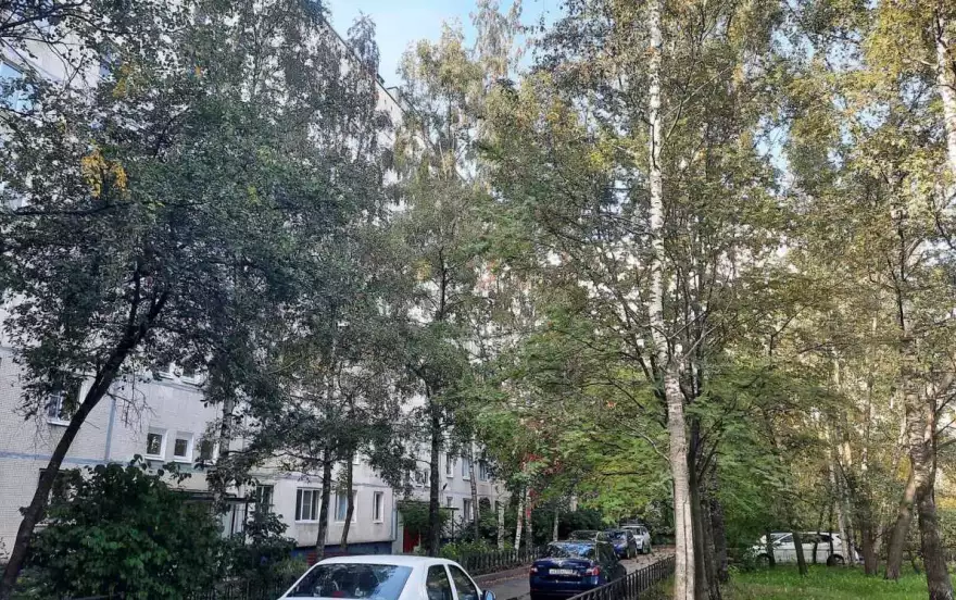 Олеко Дундича улица, 20к1