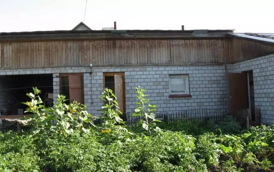улица Береговая