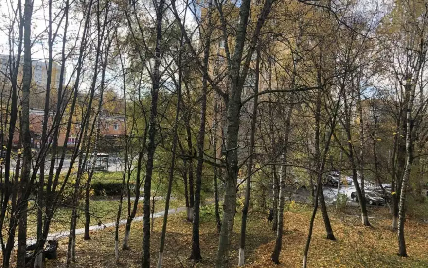 Новая улица, 33