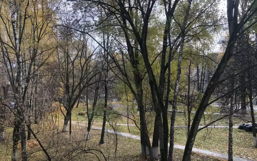 Новая улица, 33