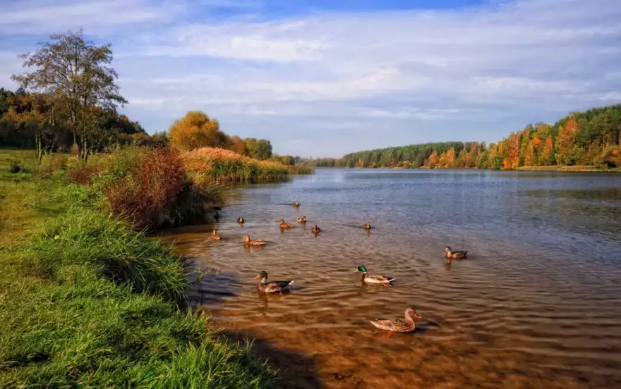 агрогородок Заболотье, 1