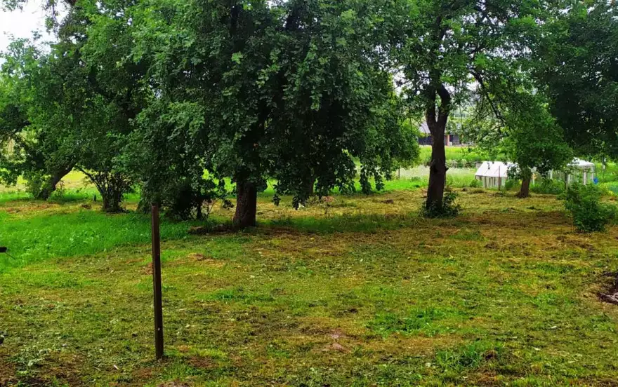 агрогородок Заболотье, 1