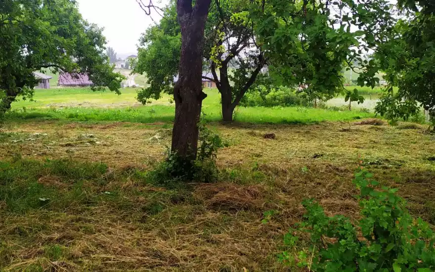 агрогородок Заболотье, 1