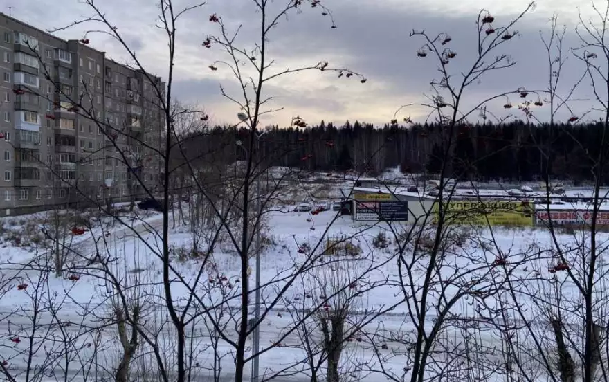улица Зари, 66