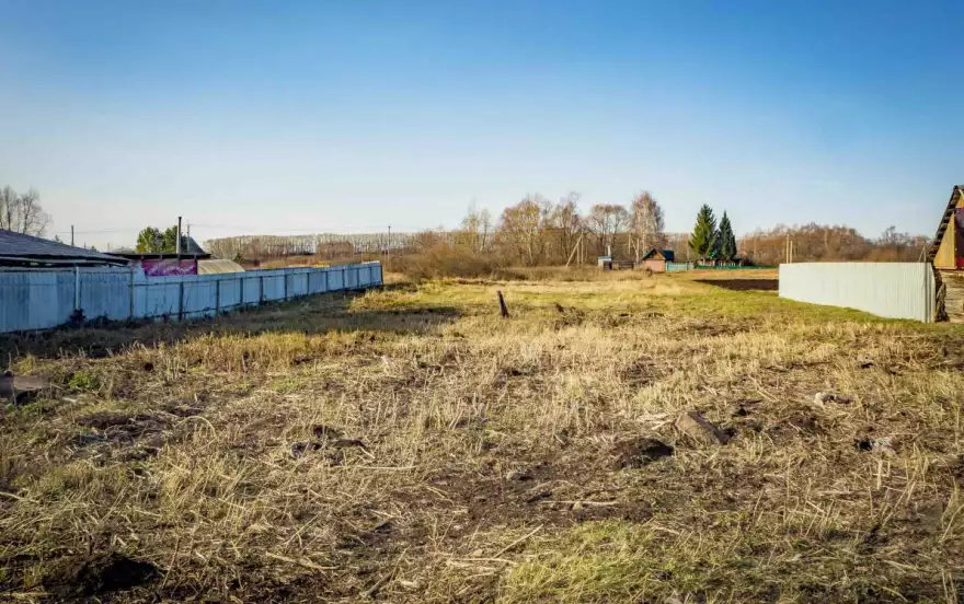 деревня Фомичево, Фомичевская улица, 29