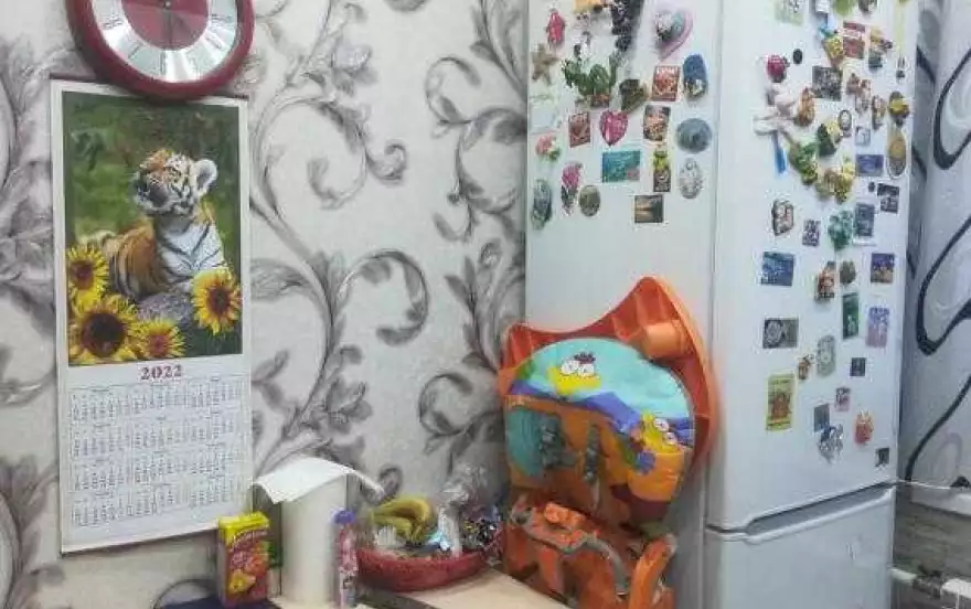 Наймушина, 8