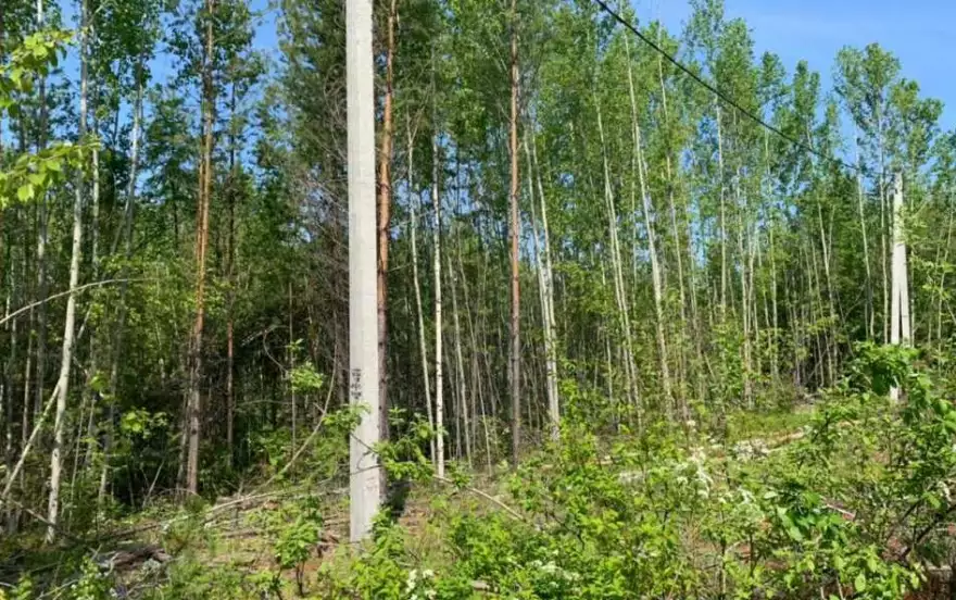 Декабристов