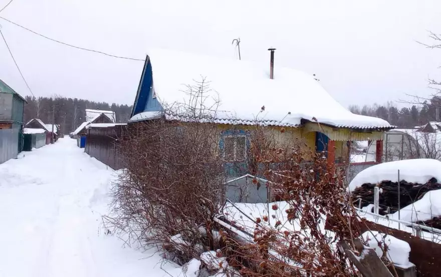Пихтовая улица,
