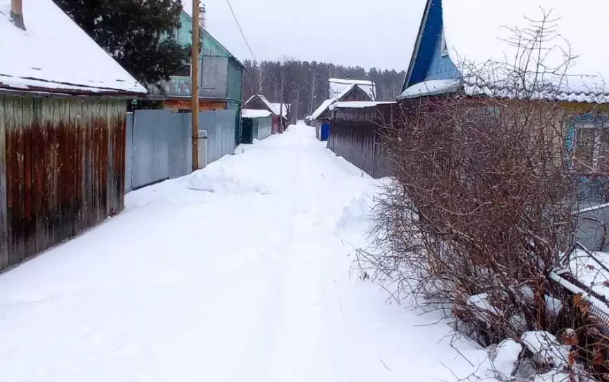Пихтовая улица,