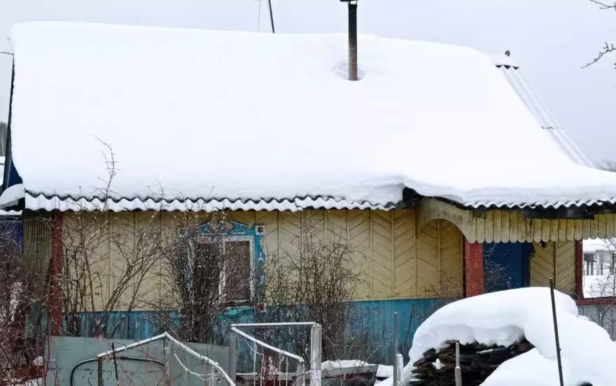 Пихтовая улица,