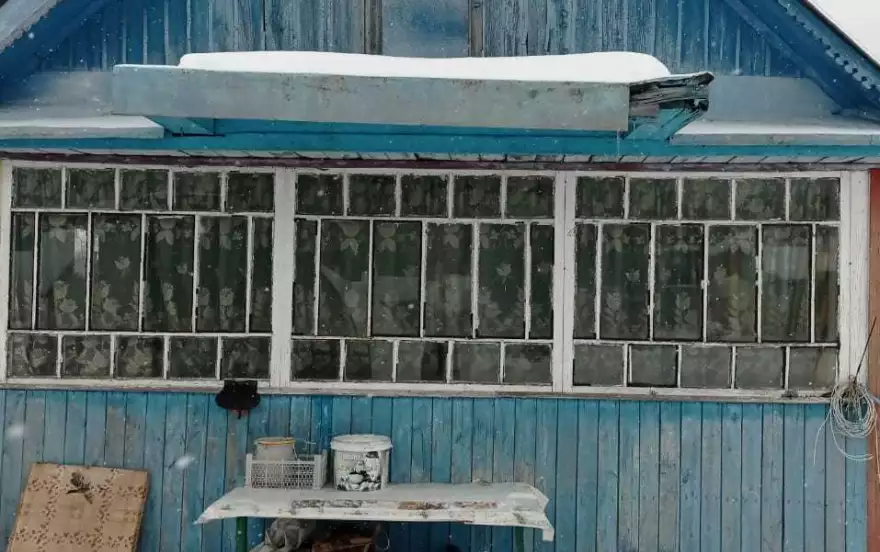 Пихтовая улица,