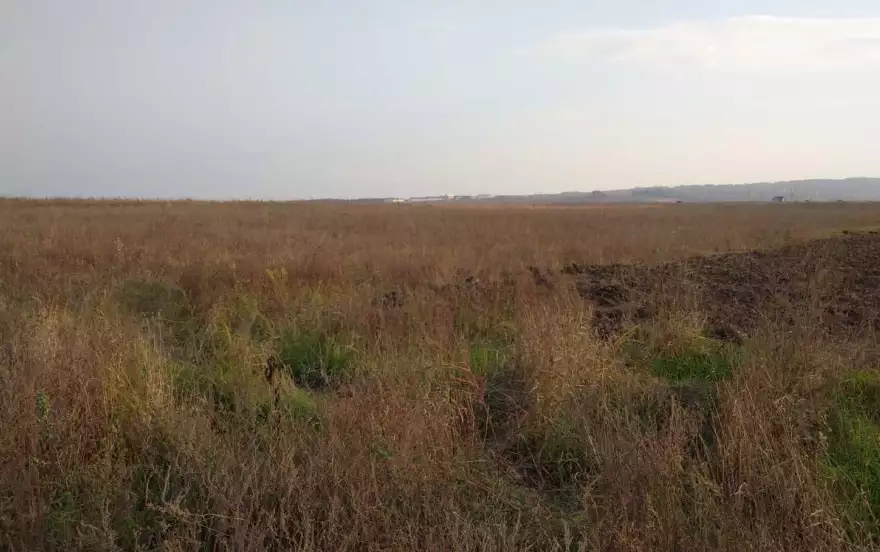 посёлок городского типа Ильский