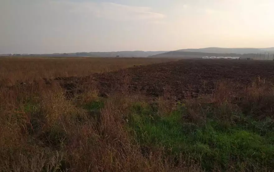 посёлок городского типа Ильский