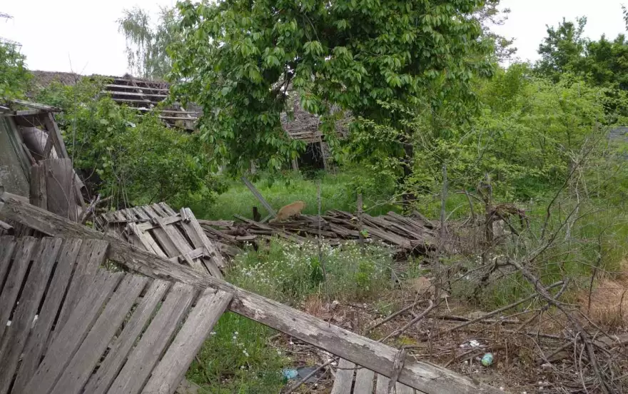 Рабочая улица