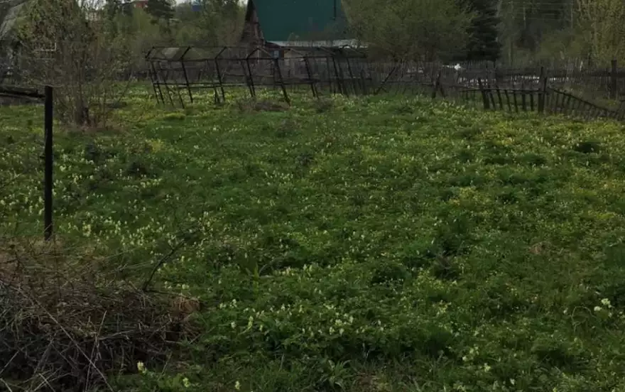 деревня Лоскутово
