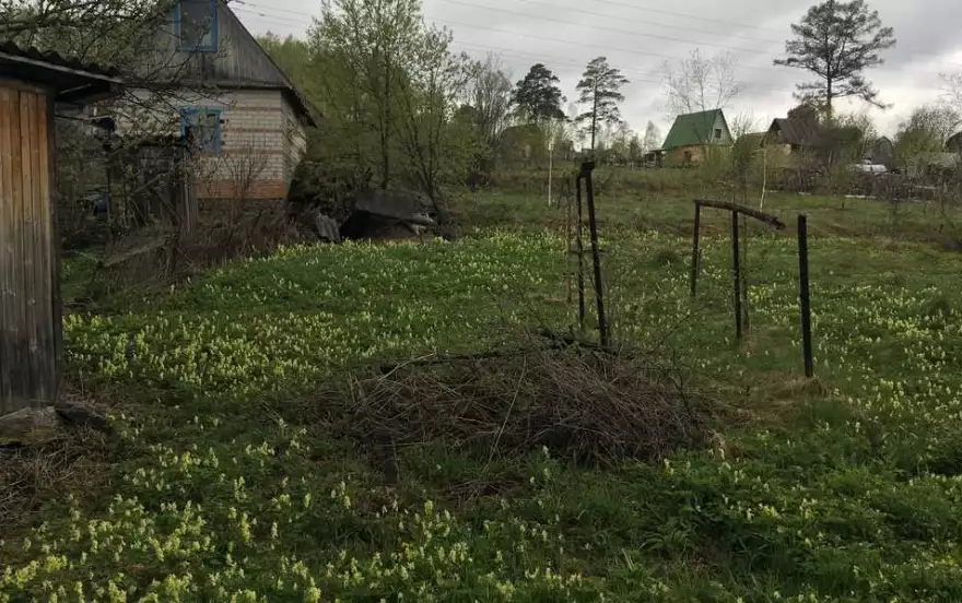 деревня Лоскутово
