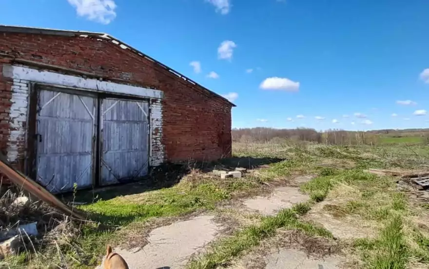 деревня Красавка
