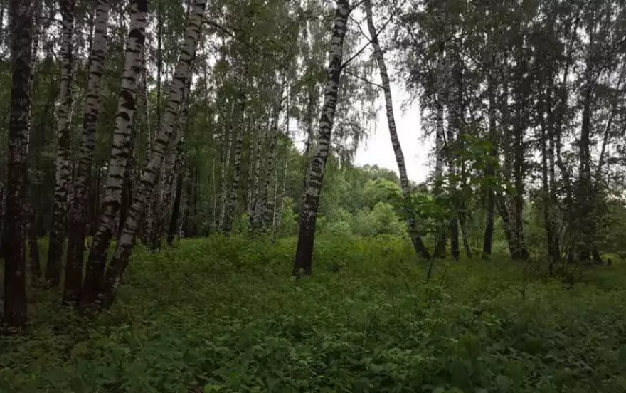 Большая Учительская улица, 15