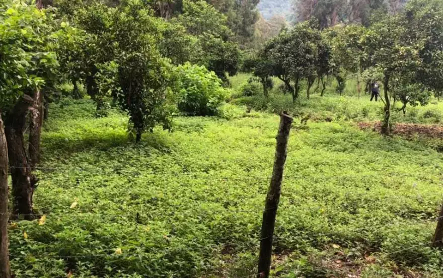 село Хелвачаури, 1