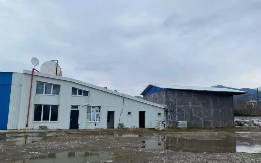 улица Ангиса, 50