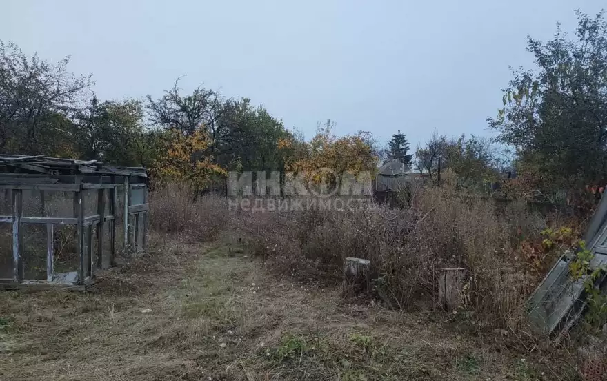 Арктическая улица, 100