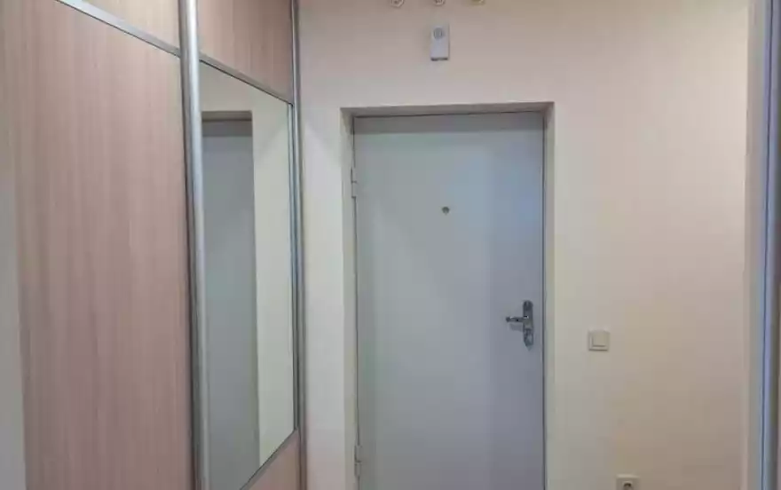 улица Петра Подзолкова, 24