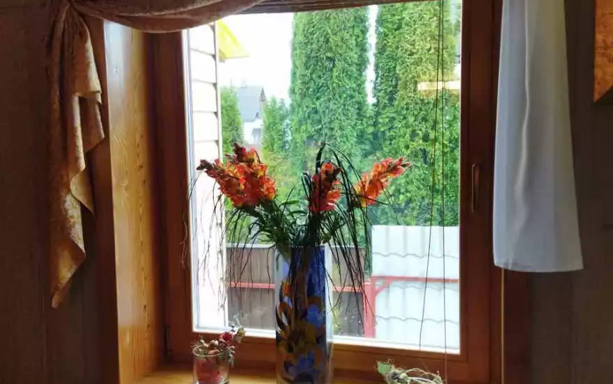 Весенняя улица, 248