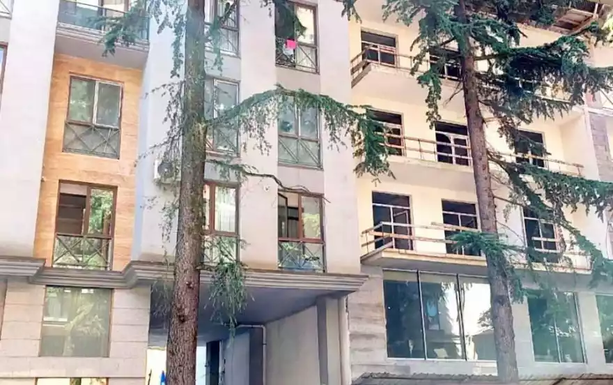 улица Царя Парнаваза, 59