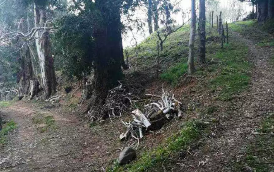 село Цихисдзири